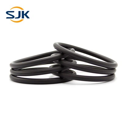 O-ring in gomma nera