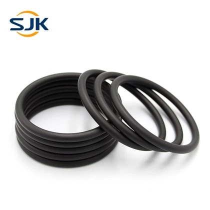 FKM 70 O-ring per la tenuta
